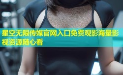 星空无限传媒官网入口免费观影海量影视资源随心看