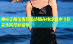 星空无限传媒超级赘婿在线观看高清畅享全网最新剧集