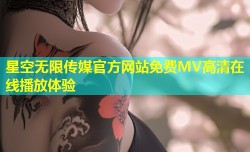 星空无限传媒官方网站免费MV高清在线播放体验