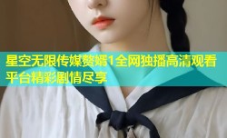 星空无限传媒赘婿1全网独播高清观看平台精彩剧情尽享
