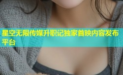 星空无限传媒升职记独家首映内容发布平台