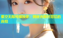 星空无限传媒独家：揭秘光棍村背后的真相