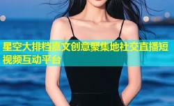 星空大排档嘉文创意聚集地社交直播短视频互动平台