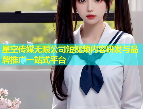 星空传媒无限公司短视频内容研发与品牌推广一站式平台  第1张