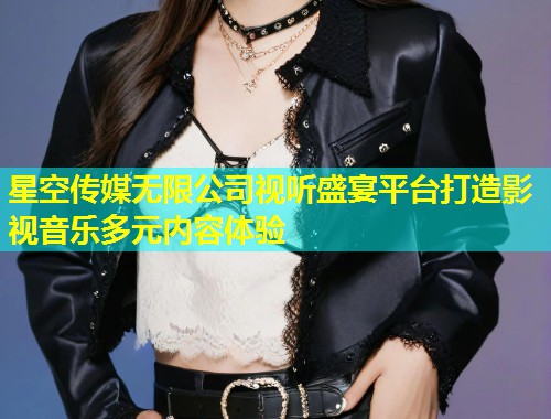星空传媒无限公司视听盛宴平台打造影视音乐多元内容体验  第1张