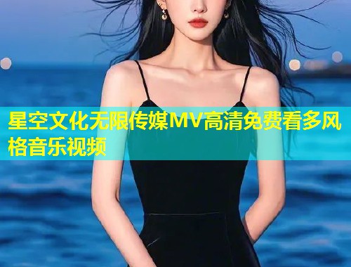 星空文化无限传媒MV高清免费看多风格音乐视频  第1张